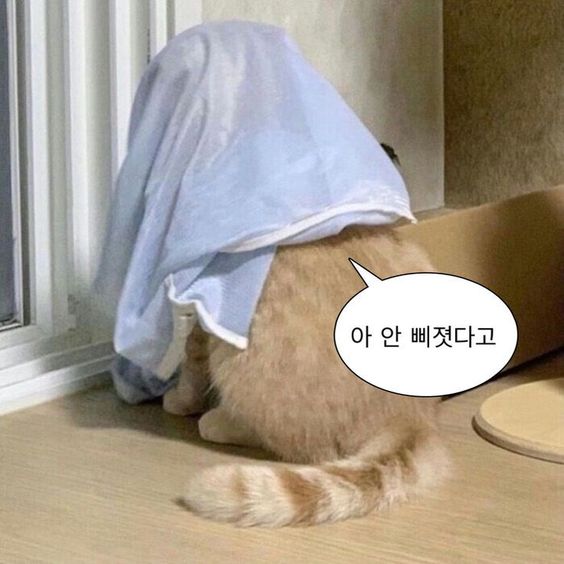 최애가 이런 짓을 했다...! 용서 가능? 불가능?🗳 | 인스티즈