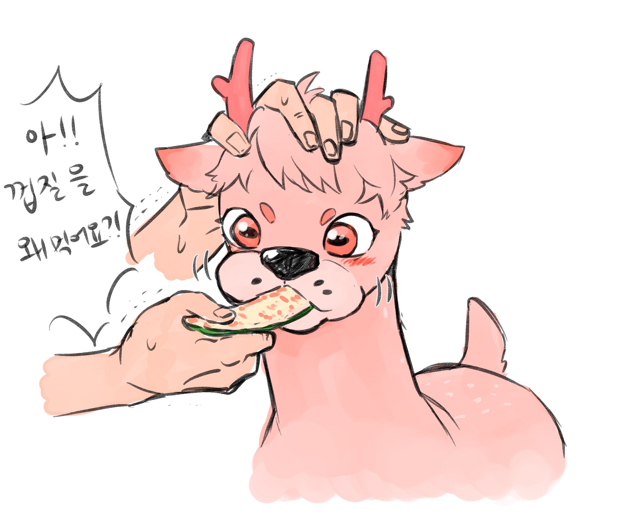 밤비 이미지