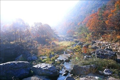 옥천풍경 이미지