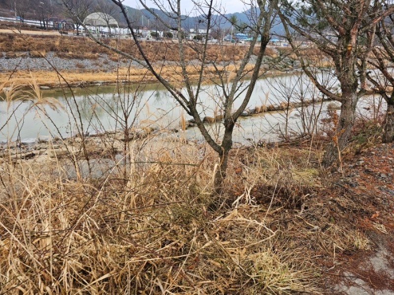 운곡천 이미지