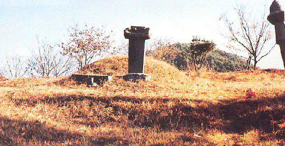 반우 이미지