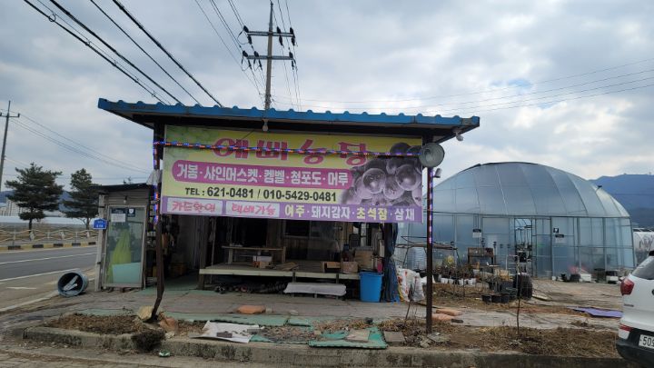 예삐농장 이미지