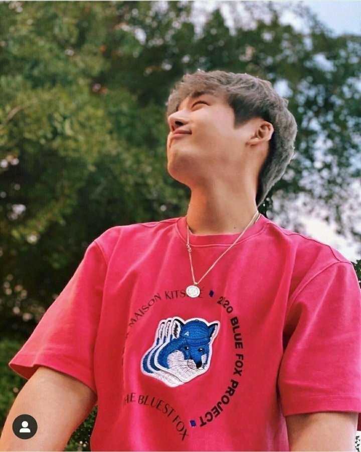 트리플티 이미지