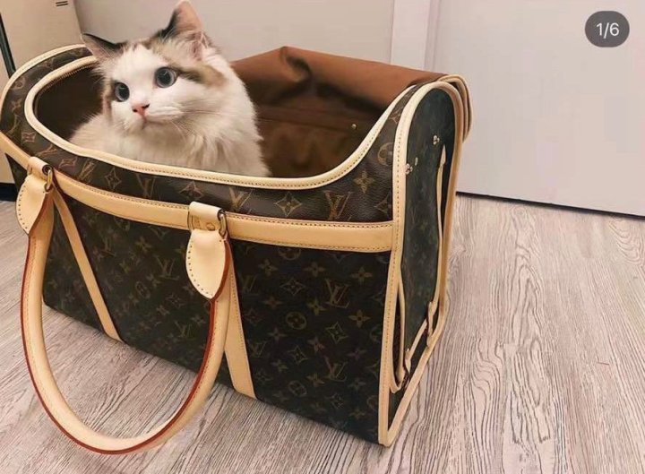 케이지 이미지