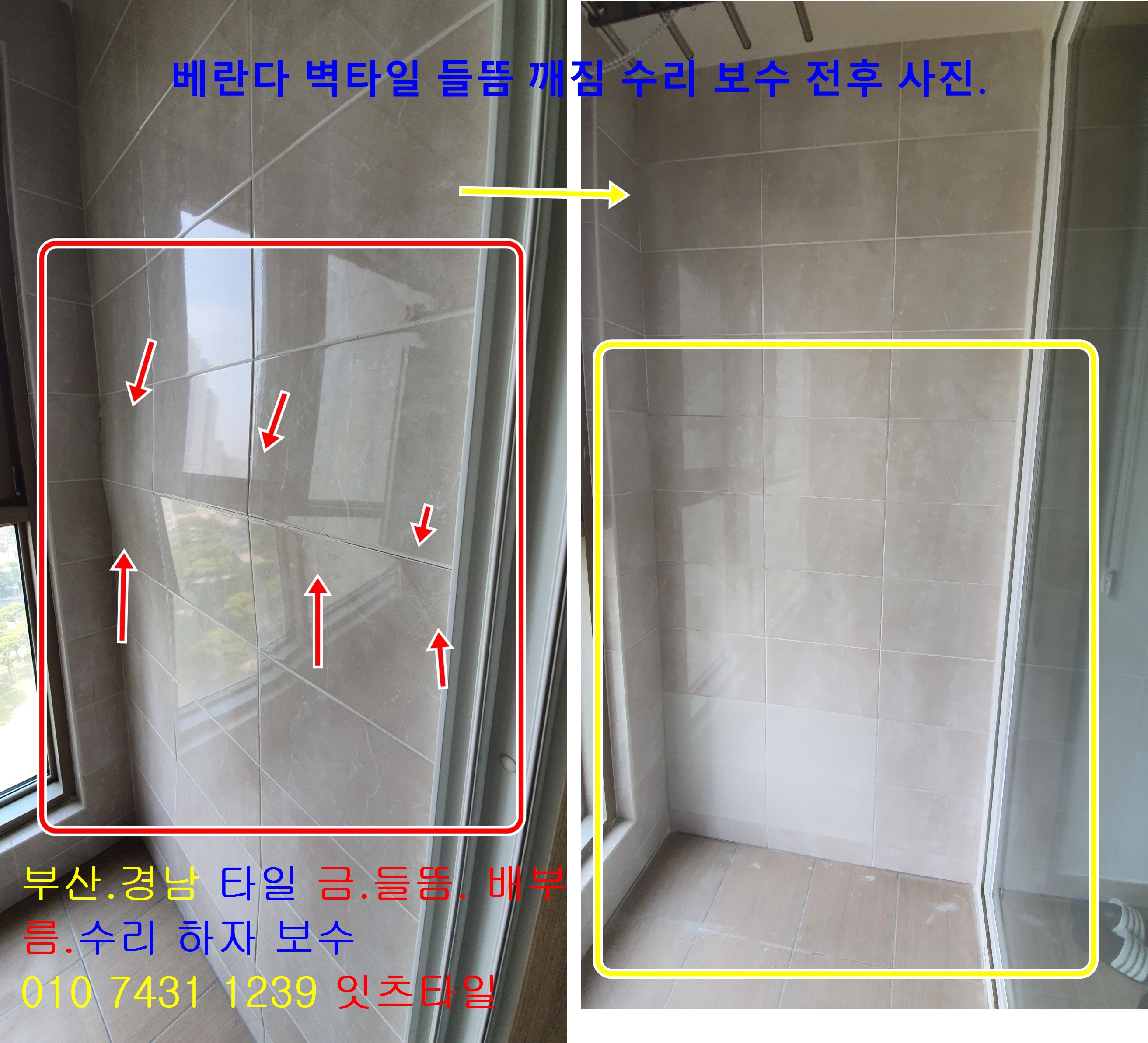 금성당감 이미지