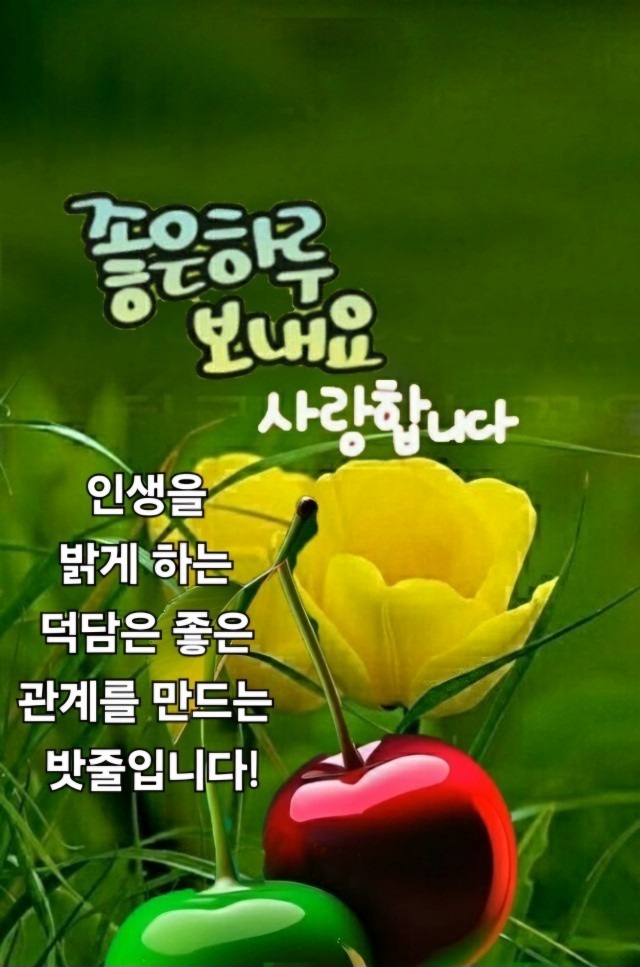 몽마르지 이미지
