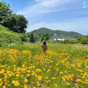 친구정 이미지