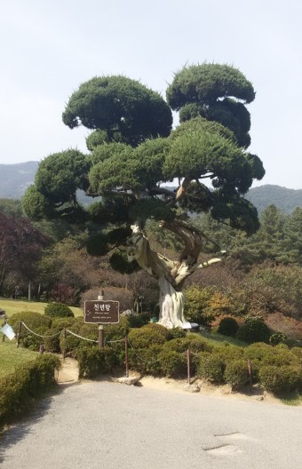 정*원 이미지