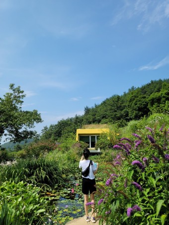 정*원 이미지