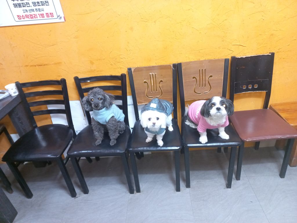 레오방앗간 이미지