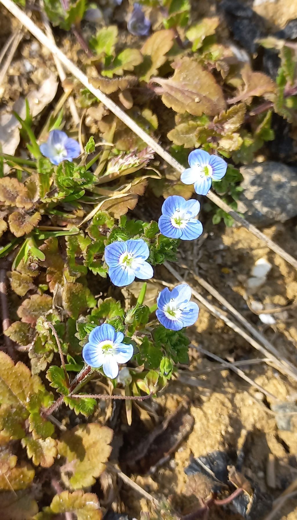 길테크 이미지