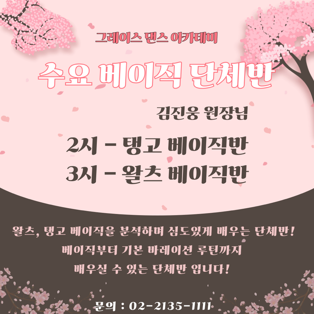 그레이스 이미지