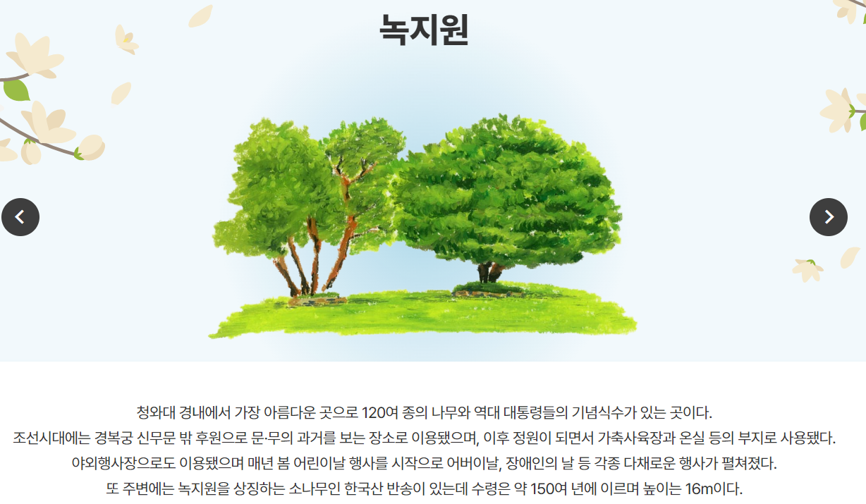 씨티투어여행사 이미지
