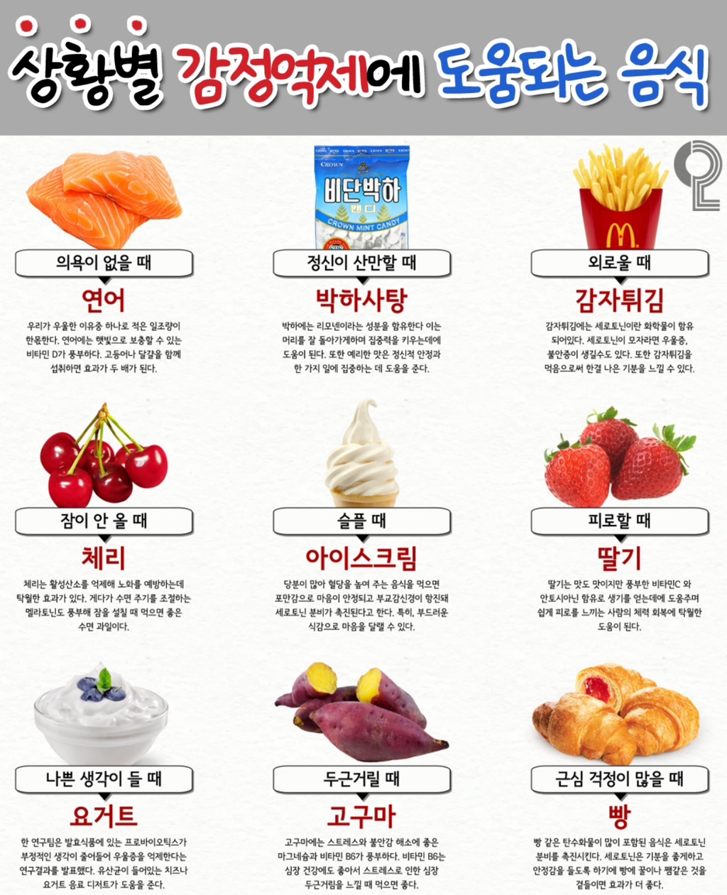 스컹크 이미지