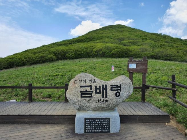 곰배령 이미지