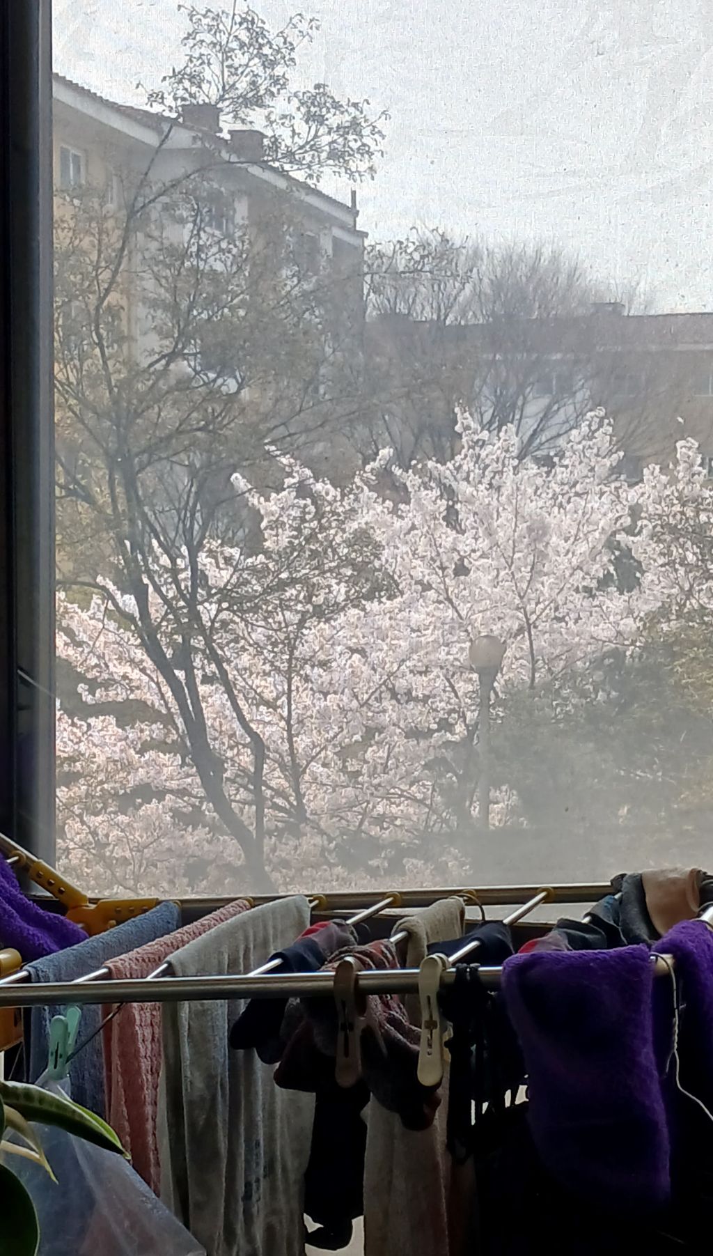 철따라계절따라 이미지