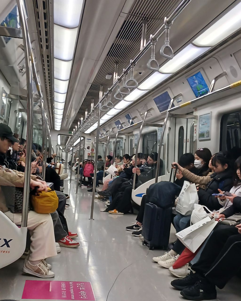 서롤 이미지