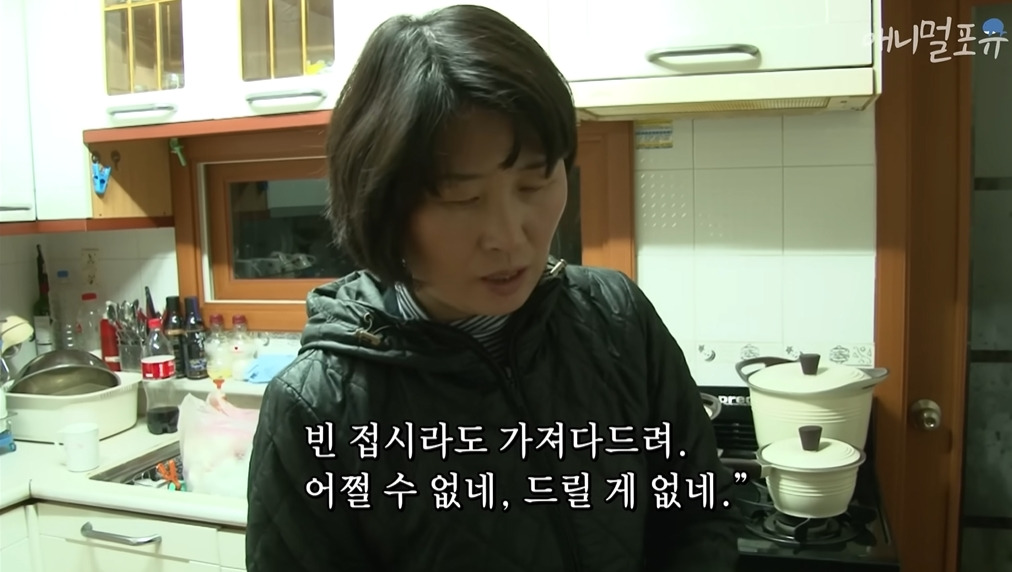 주인이 혼자 나가서 당황하는 안내견 | 인스티즈