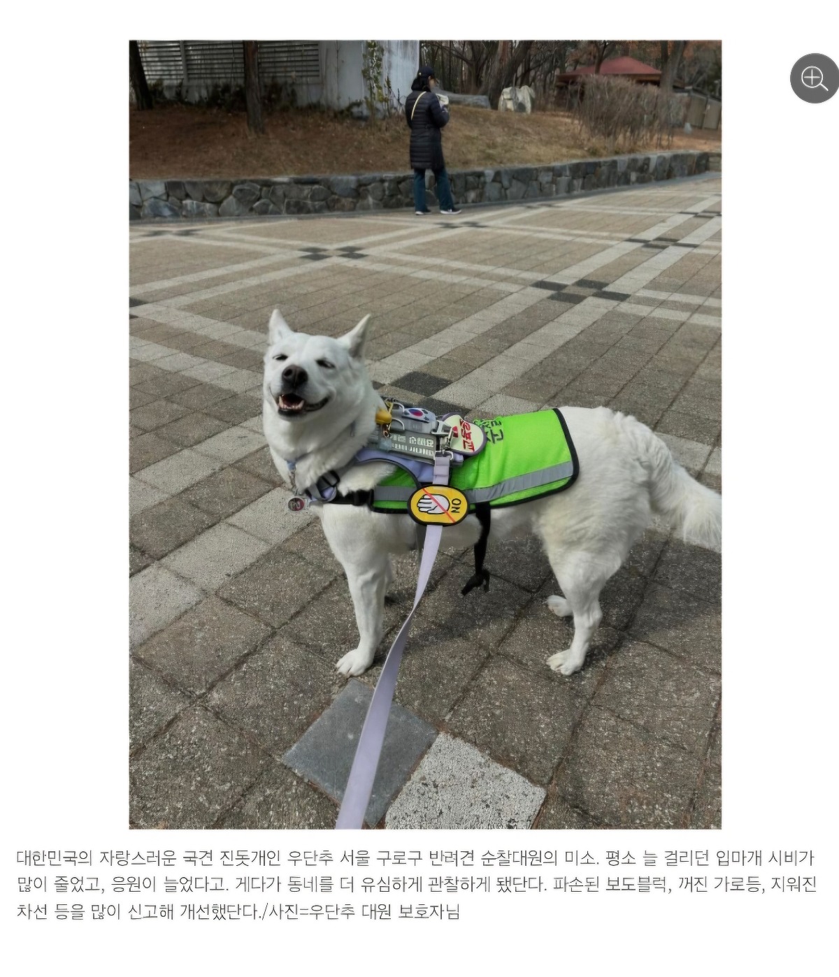 처음엔 비웃음 샀던 반려견 순찰대 한밤중 '강아지'가 잡아끈 곳에…사람이 쓰러져 있었다 | 인스티즈
