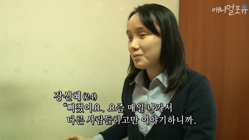 주인이 혼자 나가서 당황하는 안내견 | 인스티즈