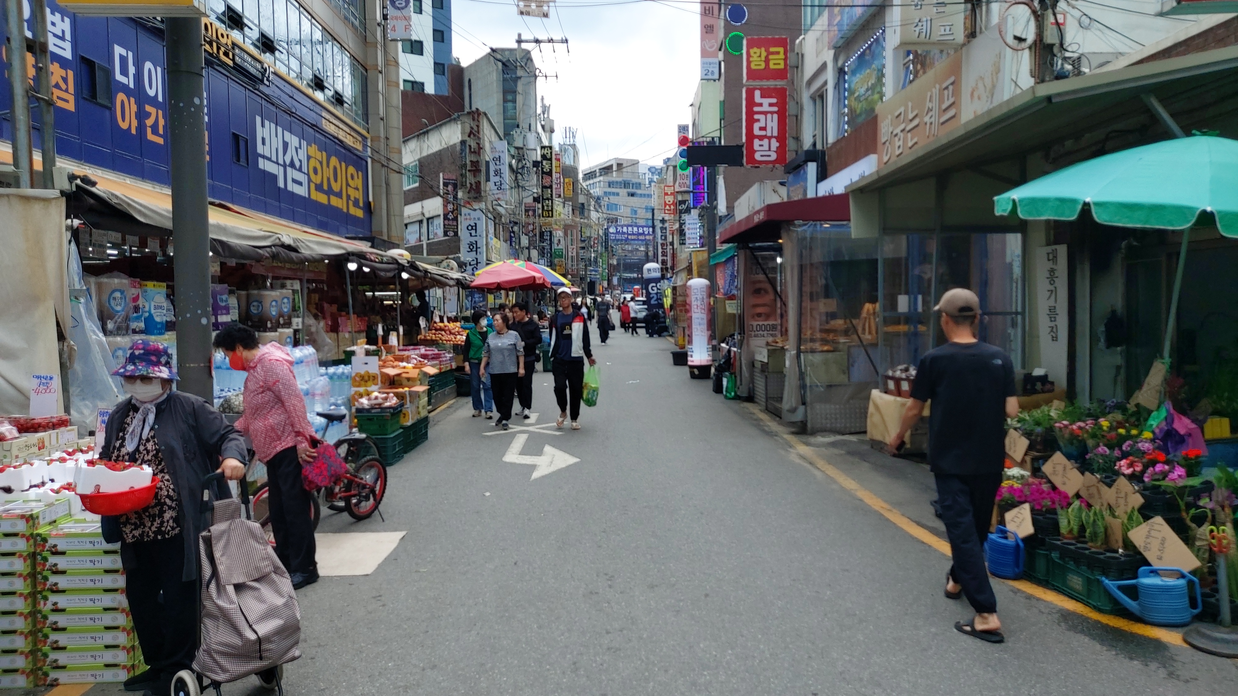 돗꽈비 이미지