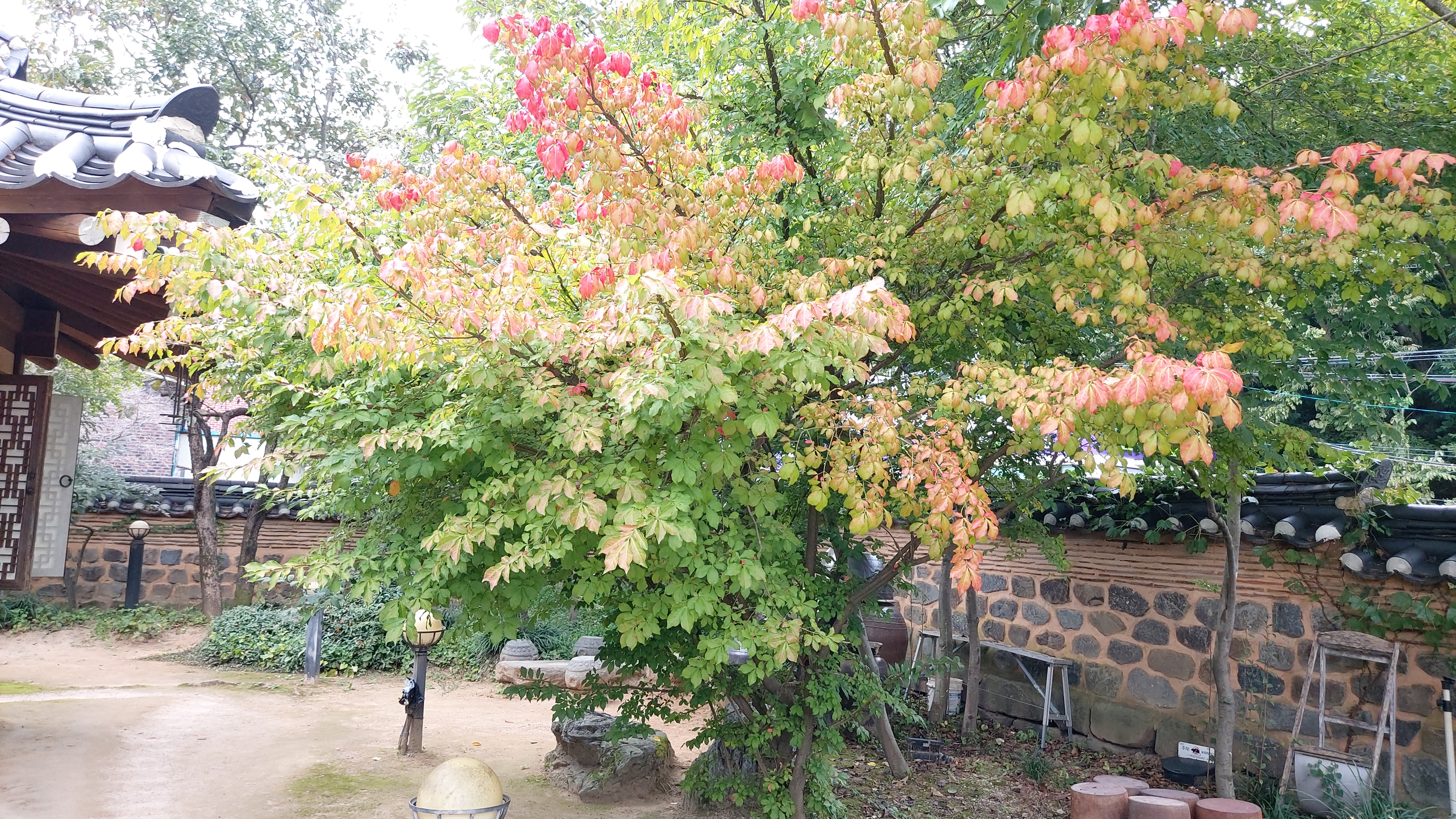 정원 베이커리 이미지