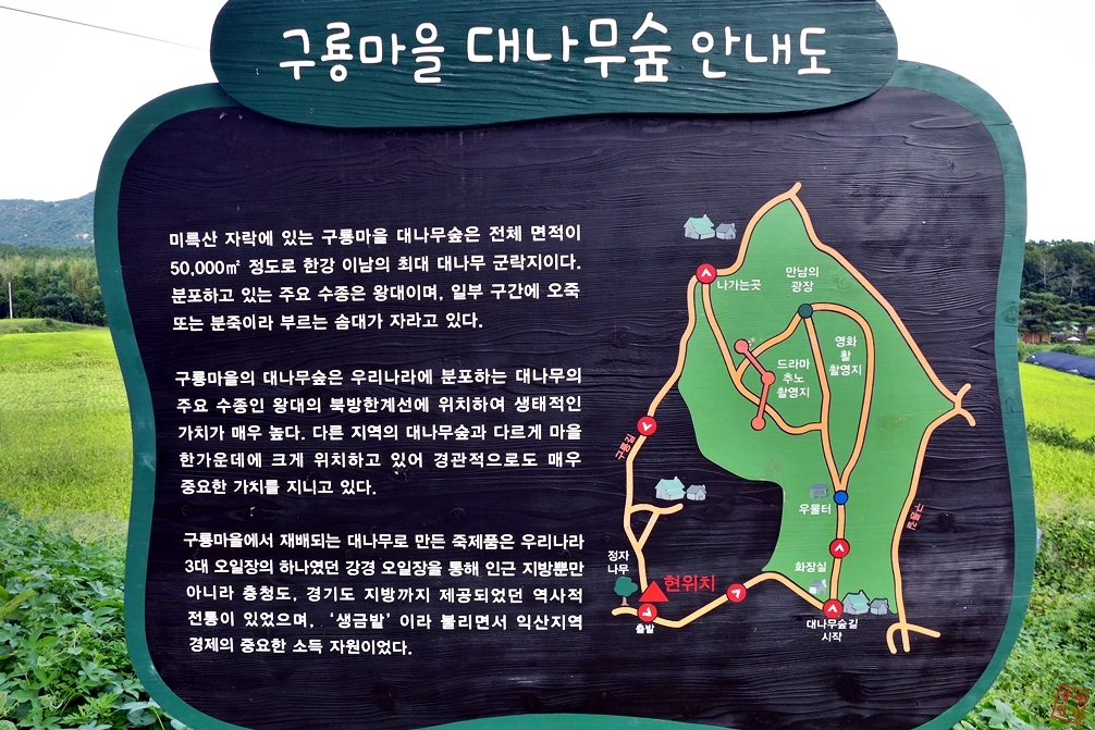 대나무마을 이미지