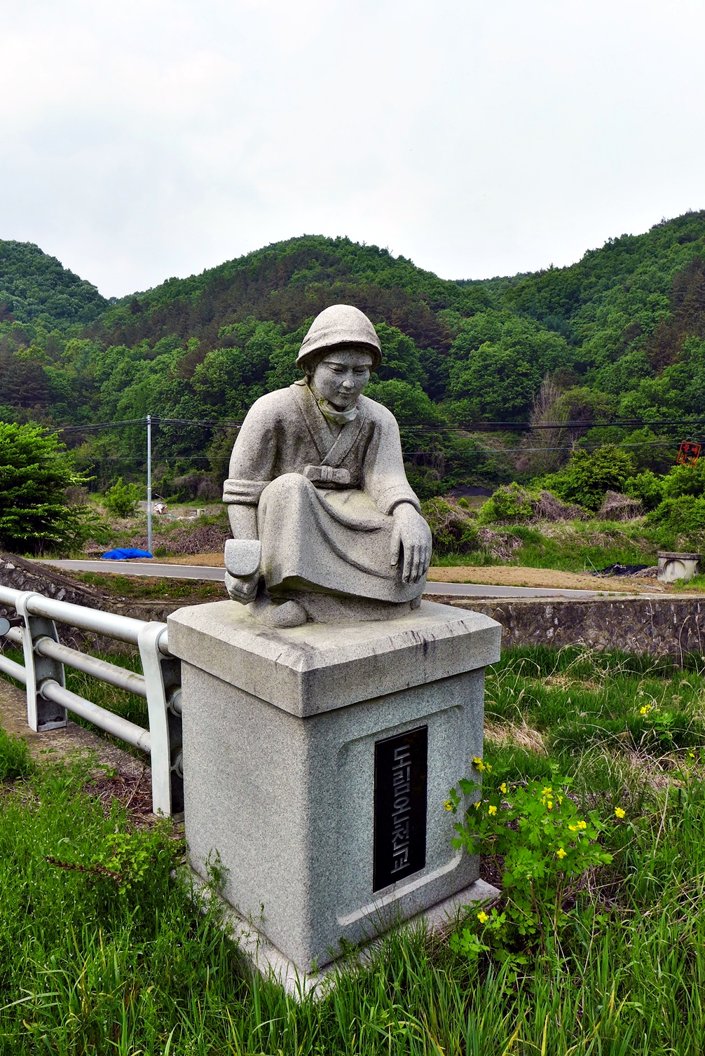 도림 이미지
