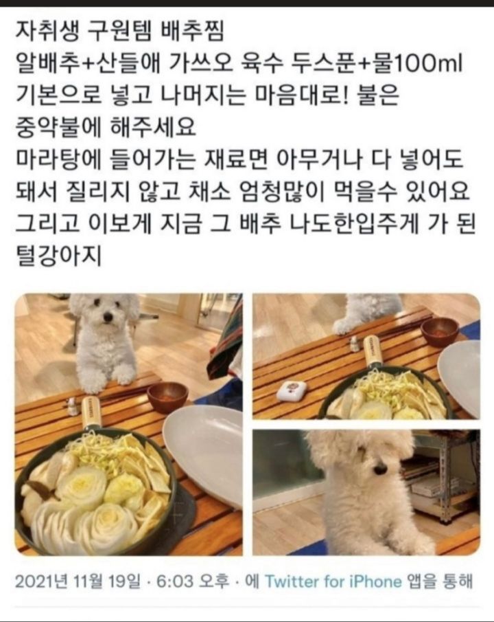 요리왕 이미지