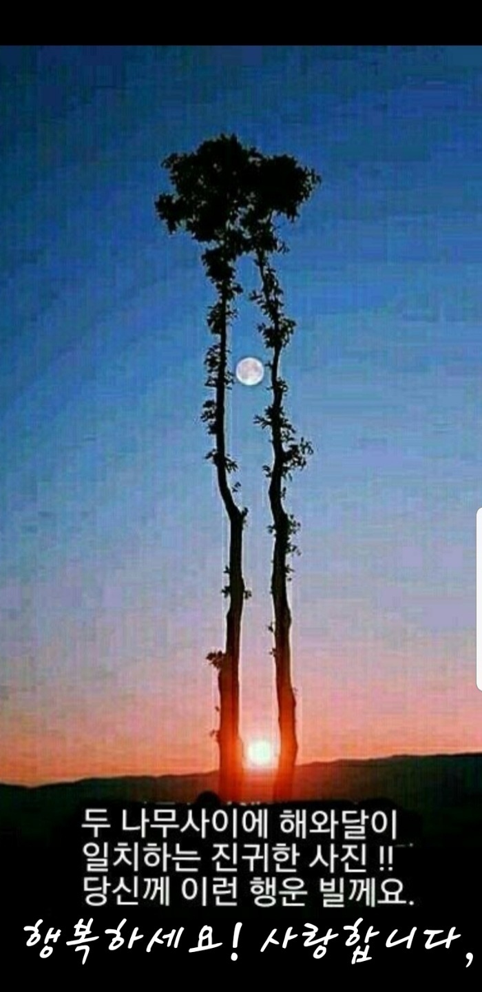 해와달처럼 이미지
