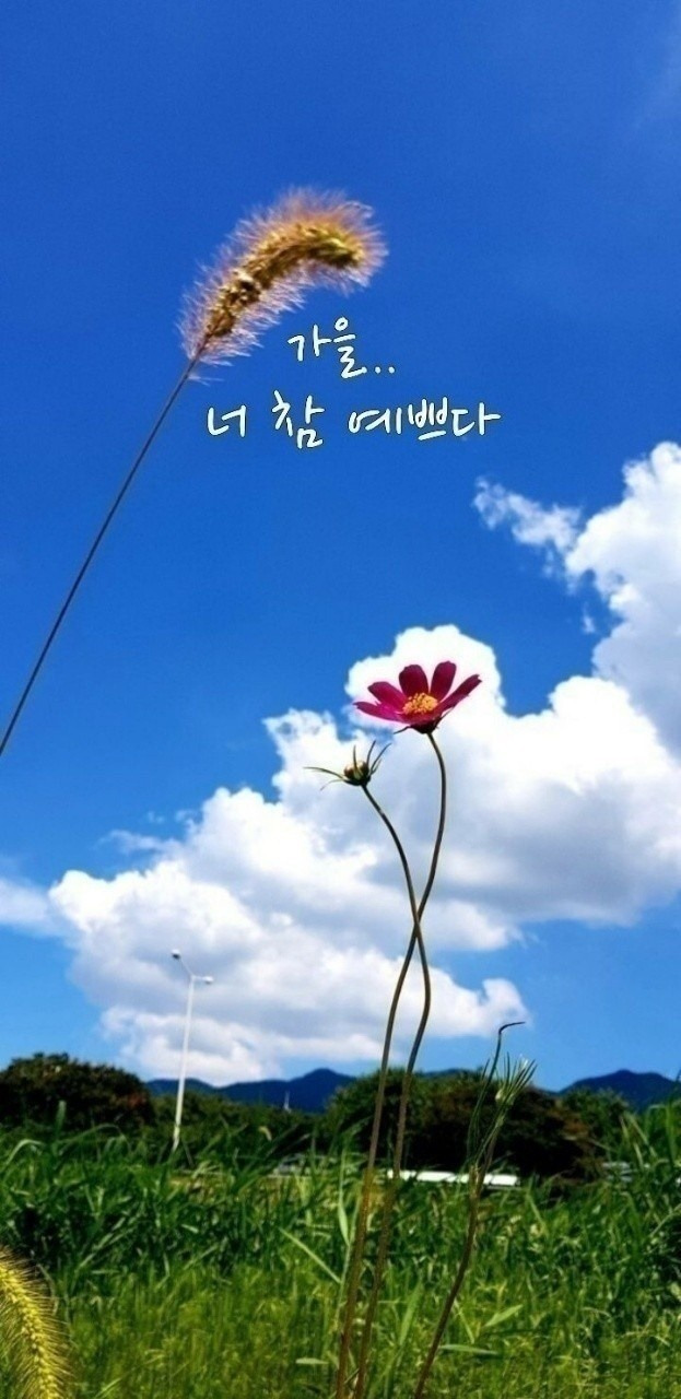 너참예쁘다 이미지