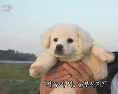 온도케이크 이미지