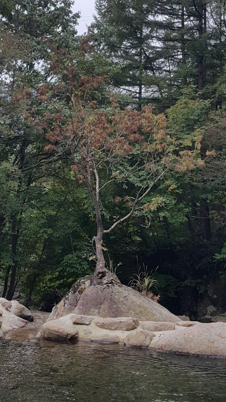 시간여행 이미지