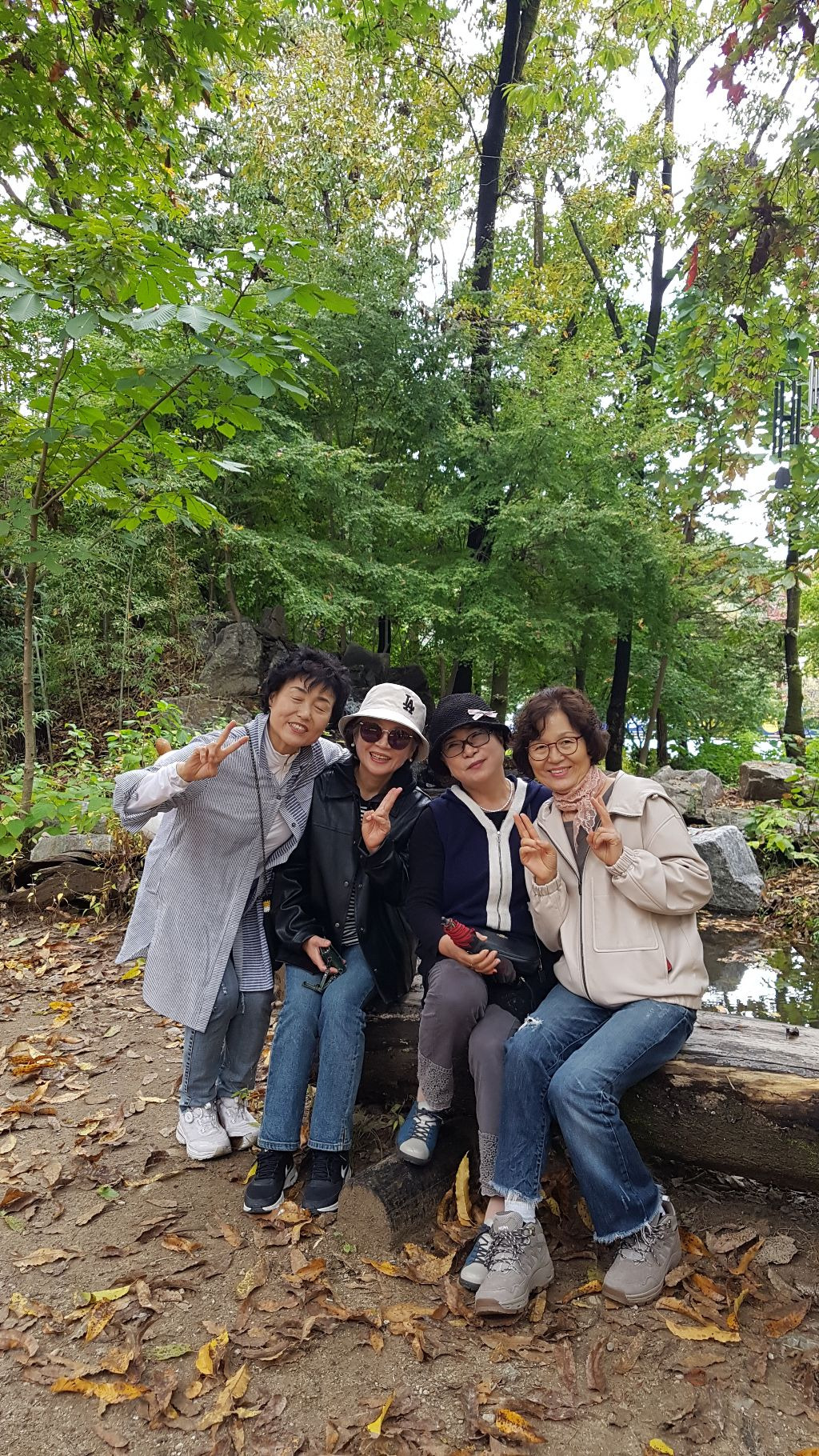 소담채 이미지