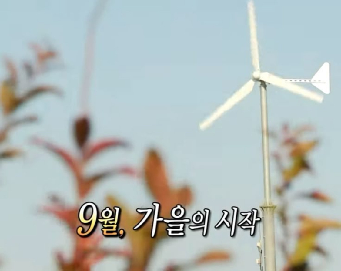 9월의 댓글왕을 모집합니다 ~ (9/28 마감!) | 인스티즈