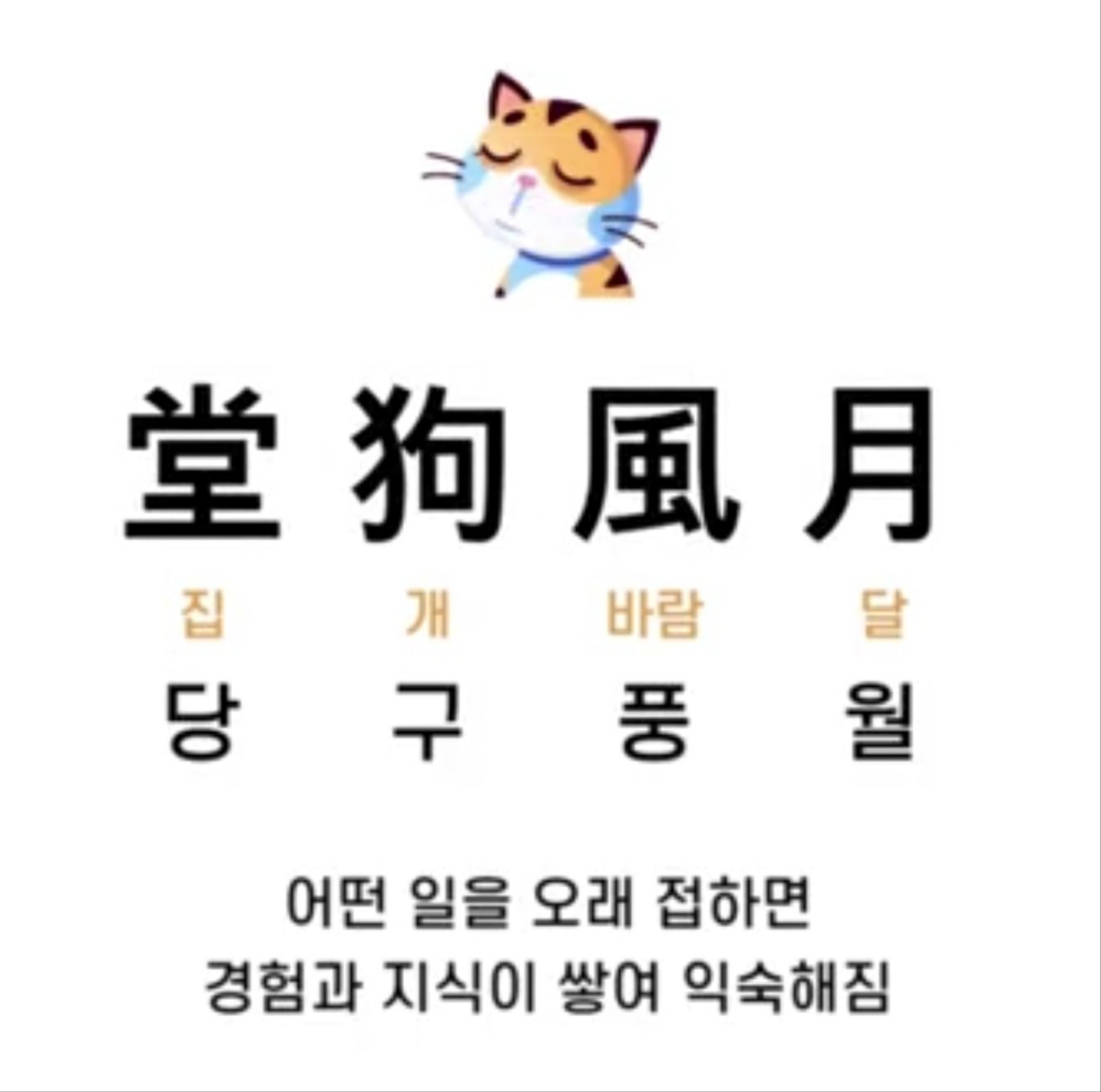 당구풍월 이미지