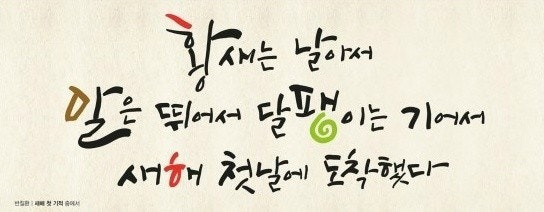 거북이의기적 이미지