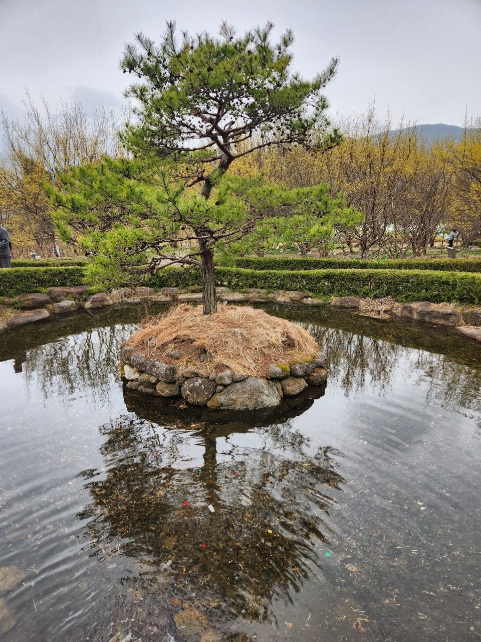 여-백 이미지