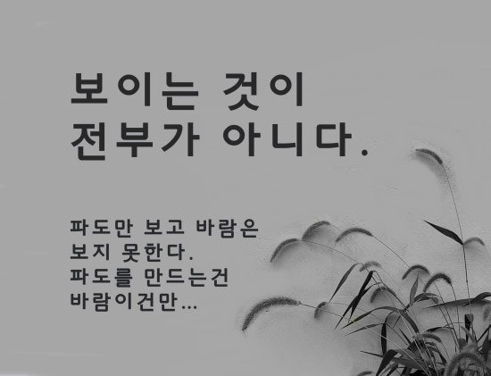 안목 이미지