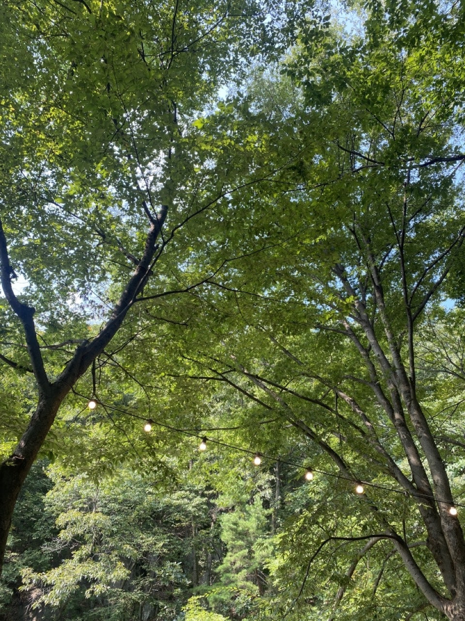자연과사람 이미지