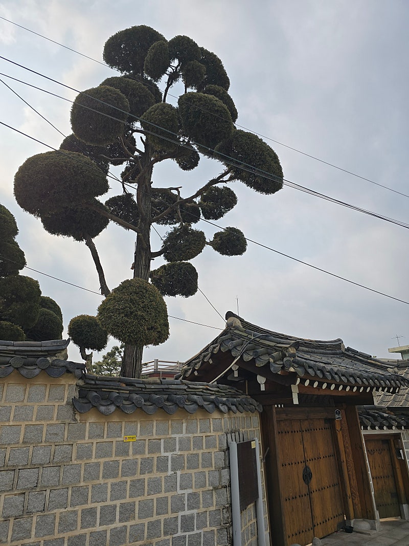 옛집 이미지