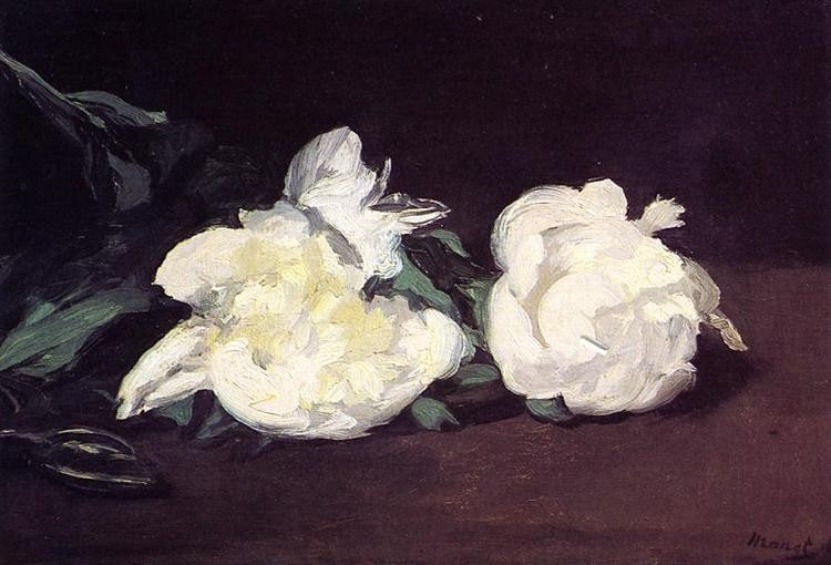 peony 이미지