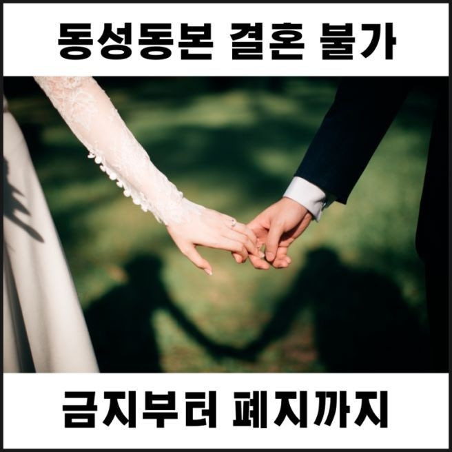 고려사 이미지