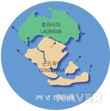대륙 이미지