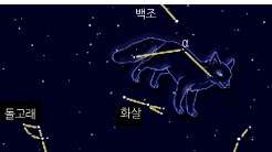 작은여우 이미지