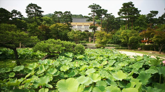 호암정원 이미지