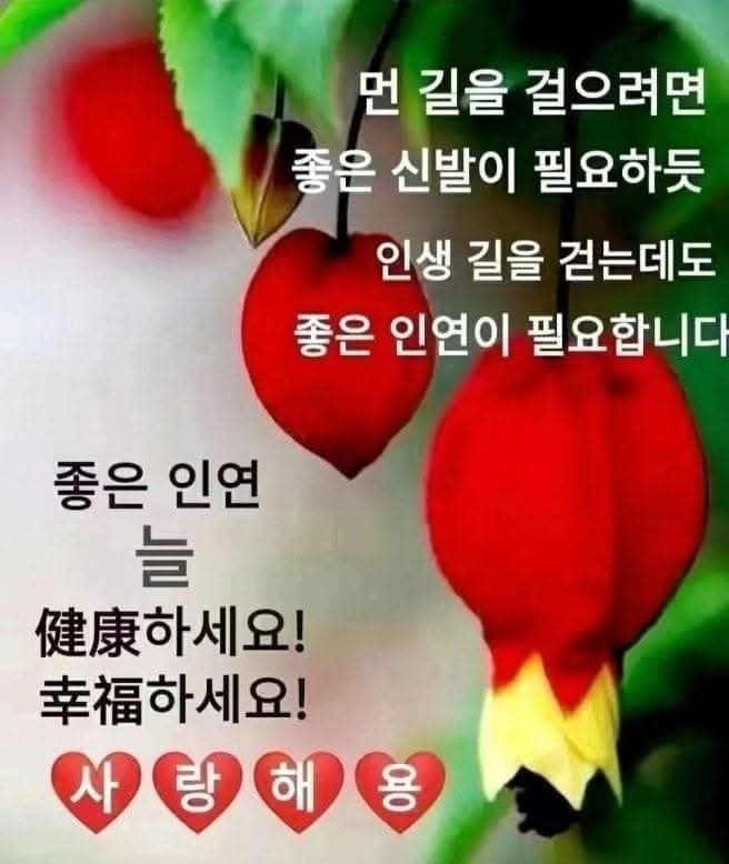 빛나는하루 이미지