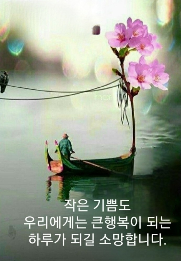 꽃길만걷자 이미지