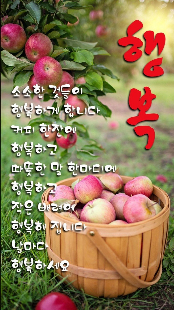 멋진인생 이미지