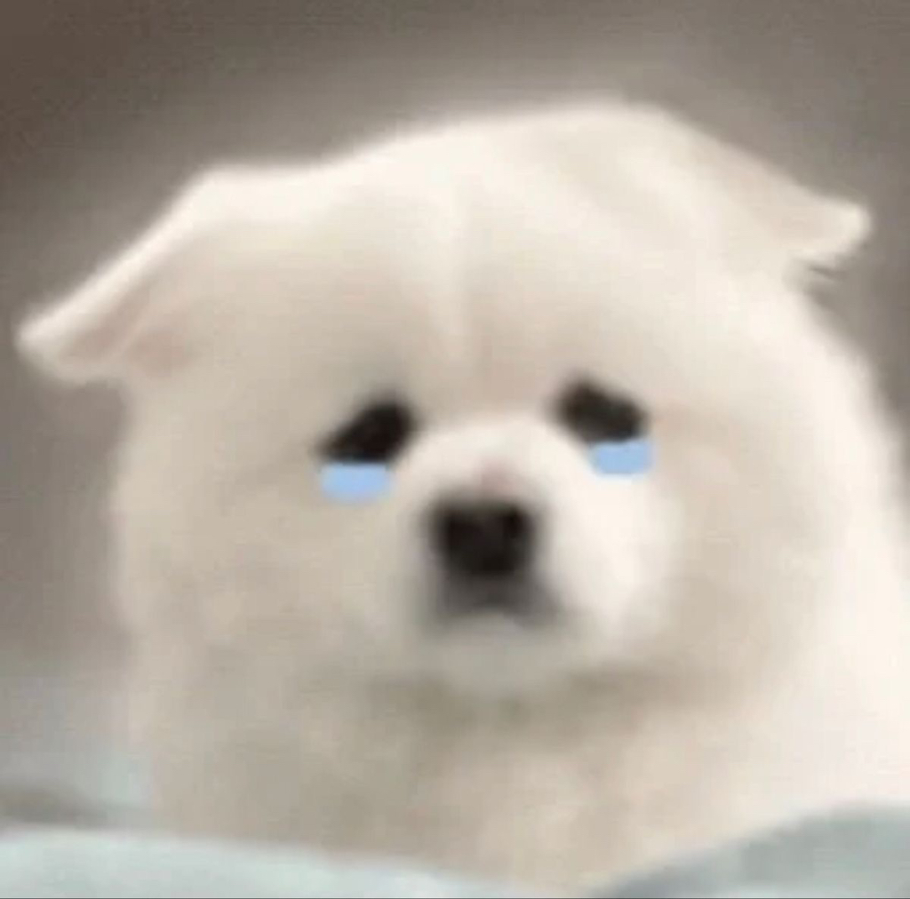 밤새 이미지